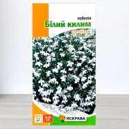 Насіння лобелії Білий килим, 0,1г, ТМ Яскрава